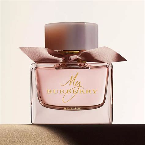 burberry fruity perfume - best smelling Burberry perfume.